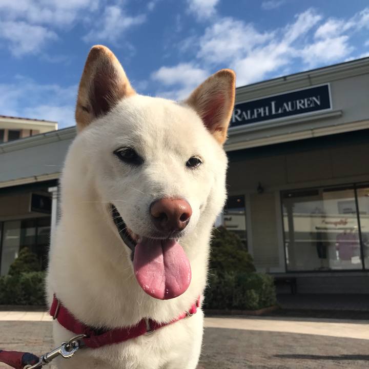 0c068d00 90df 481e 95d9 06875913322b