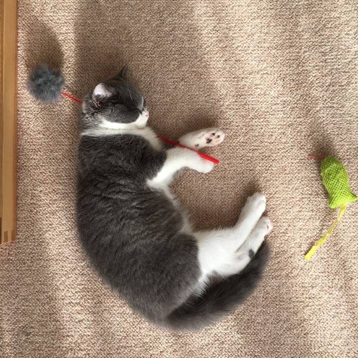 0c068d0e d35d 4f46 b16f 730c06207f76