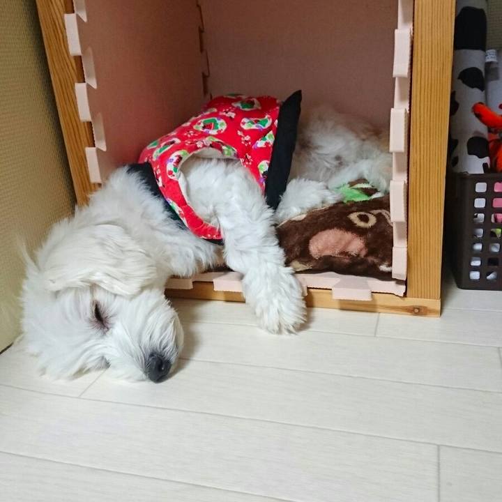 0c0753c6 29be 4a8f 9ac9 ae2b4cde8402