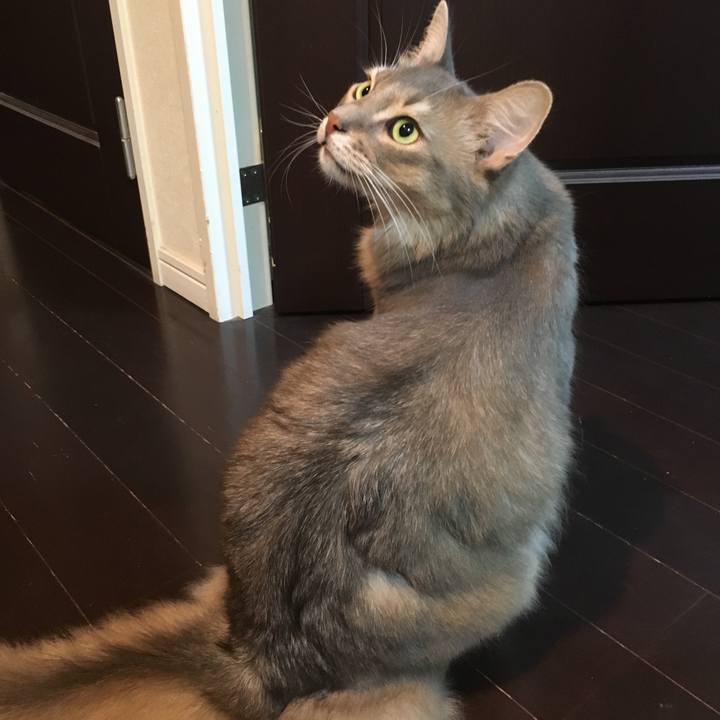 0c075de9 ee4b 476b 9e5c 62f17cb6b74a