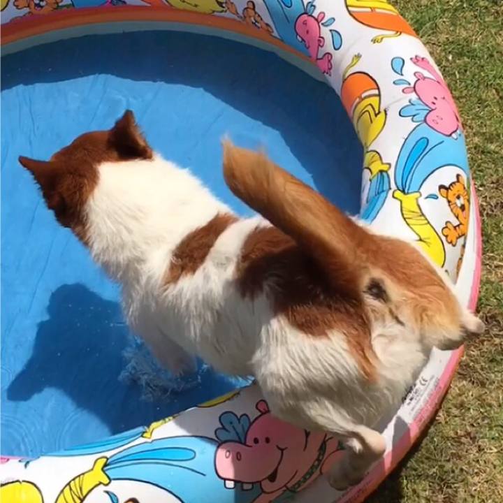 0c078a4e 5b2a 4b4e ba82 cd275a99301e