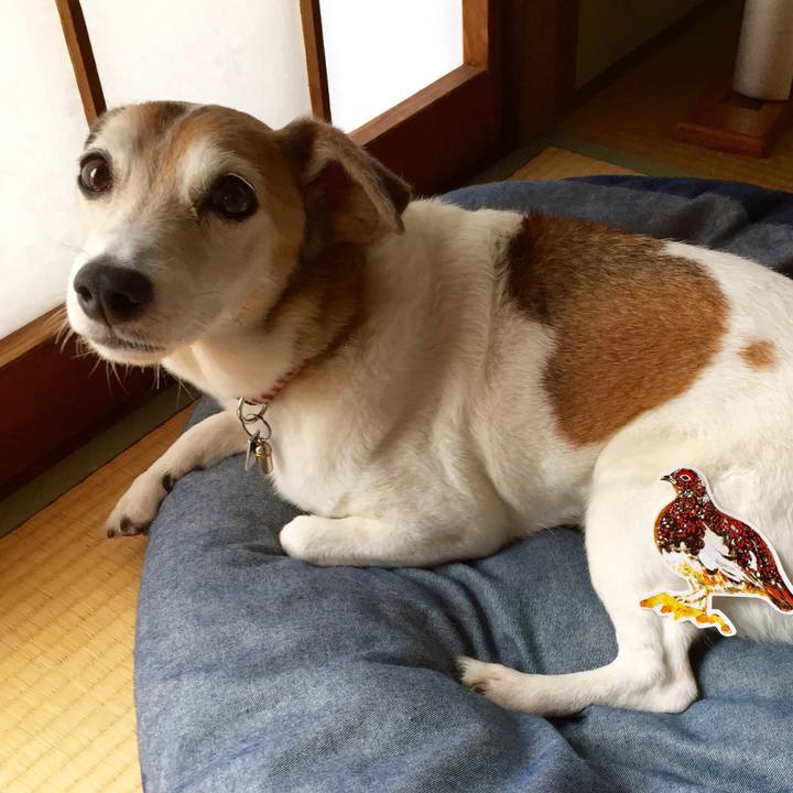 0c07d97e 6020 4922 83a6 1db6de0c7383