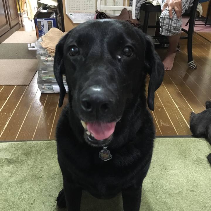 0c088f9b b27e 46dd a385 ac511cc208d5