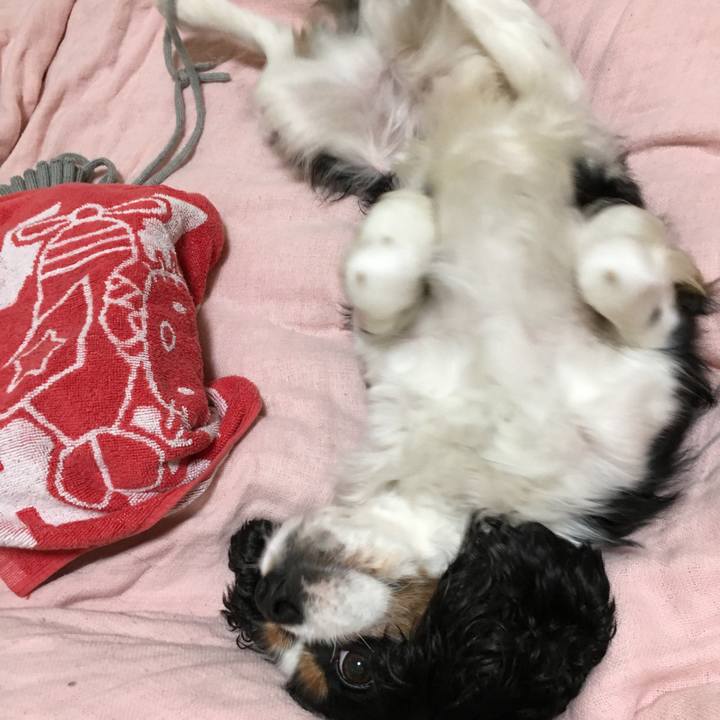 0c08eb3e 8af5 4502 9106 003945cd2f5e