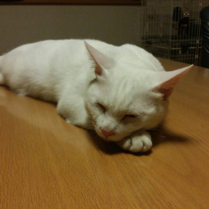 0c095588 3102 4bbc b489 896be82fa915