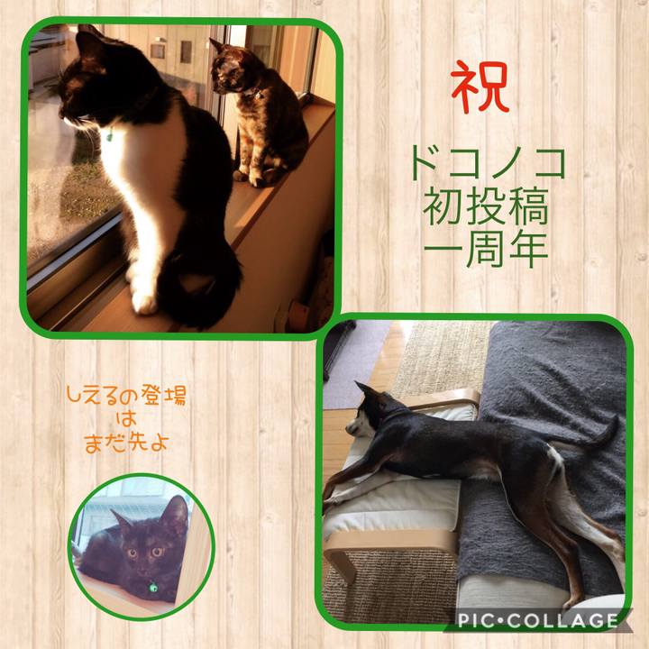 0c09b7e1 3515 4e88 95c0 fd8175739305