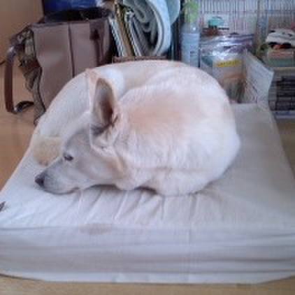 0c09c204 489d 4081 81e9 826f25937804