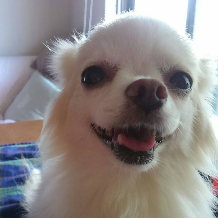 0c09e389 6167 4769 9ed6 6086494f8c63