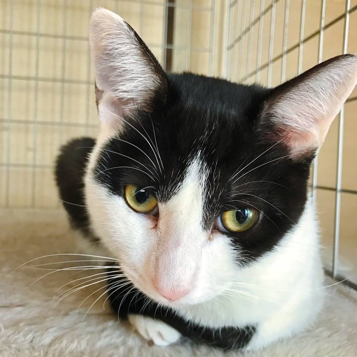 0c0a05f7 69dc 4857 a148 7ff74a79bc79