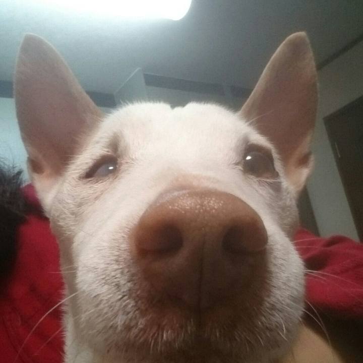 0c0a1955 1281 4acb a2cd 1b31b05d809b