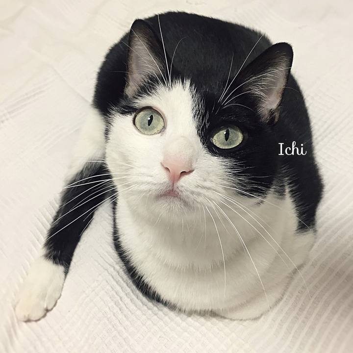 0c0a253a 8535 4355 9be0 b61384d270ad