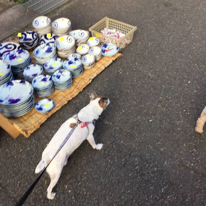 0c0a3b1f 8a1b 48bb 9f5a b78dfe5a01aa