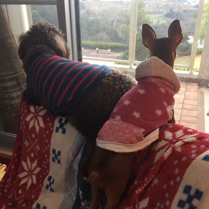 0c0a574f 7ed2 4193 8ee5 841199e0760e