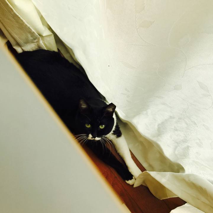 0c0aae10 215b 44a5 b57e 5ca8dab6a7d2