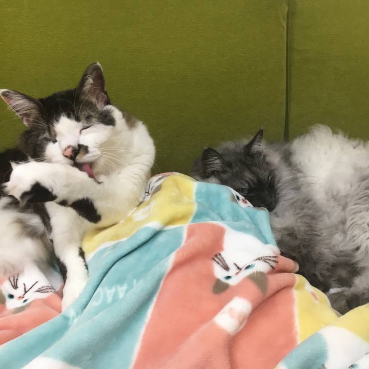 0c0b0b9a 1c69 4aa3 9c9f 3497379ca398