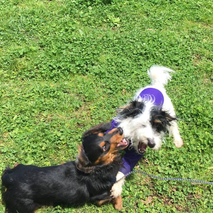 0c0b1320 7ce7 46e5 99f8 a1c118f81374