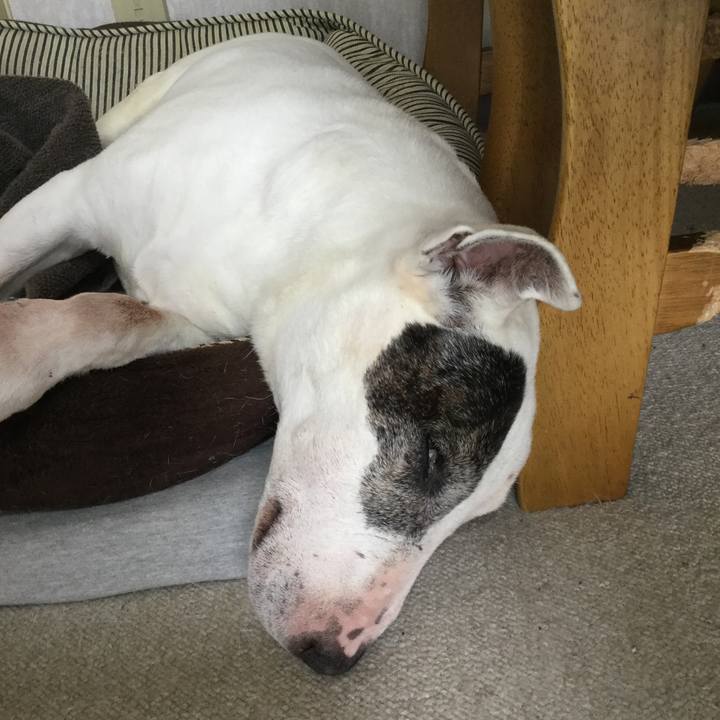 0c0c7ea9 af48 495f bed1 93c2e76d5573