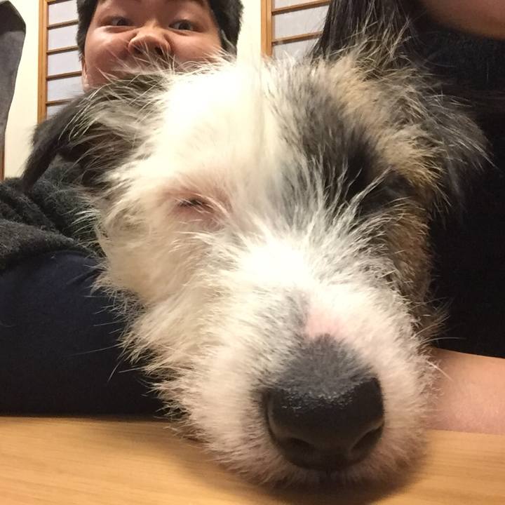 0c0cad01 d457 43b5 9da3 8ae7dd89b273