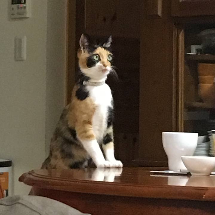 0c0cb314 35ed 429e 8bd8 6e500f7377db