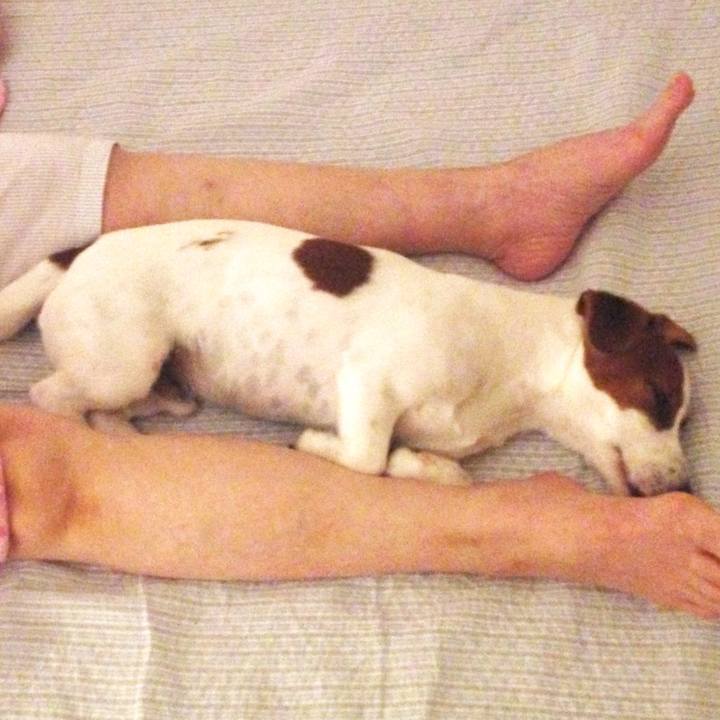 0c0e1e96 b796 464c aae3 1b04425437e5