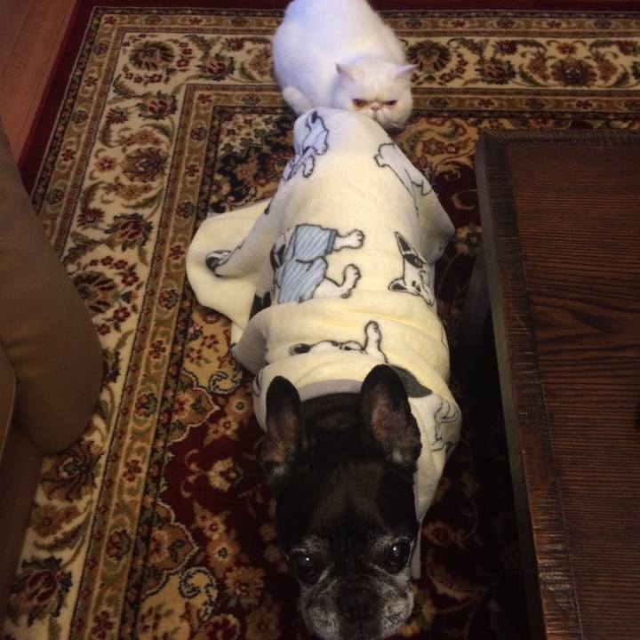 0c0e8334 2ef8 43b4 b7e2 dfe71a6add76