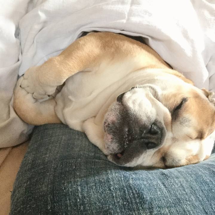 0c0ee820 ebae 436a 845d 2ccfd8b85ae5