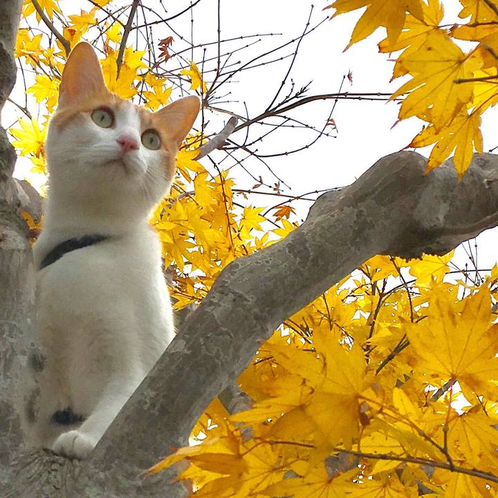 0c0efae6 a3da 4ff9 a8df a295e1d92c48