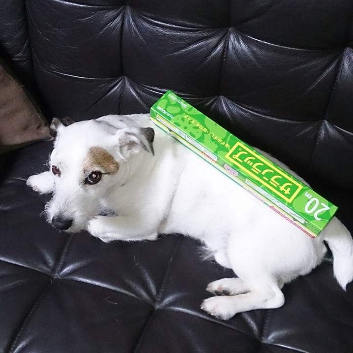 0c0efd74 7072 47a9 b53f fb20bd2c8ba4