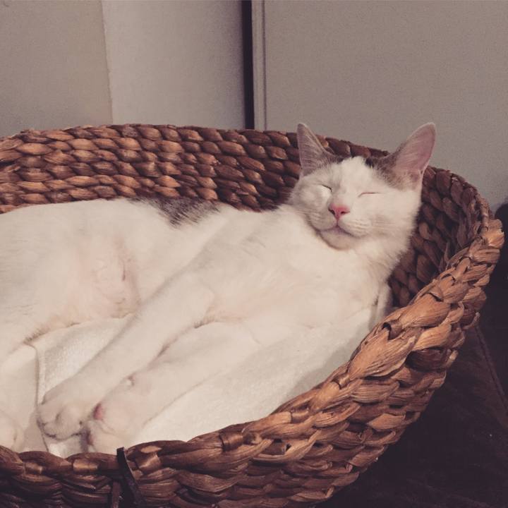 0c0f8276 4eeb 4d0f 89b2 6085abaf4b8e