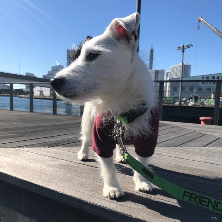 0c0ff5d3 e5c8 4e61 a88e 78f433bbd1bb