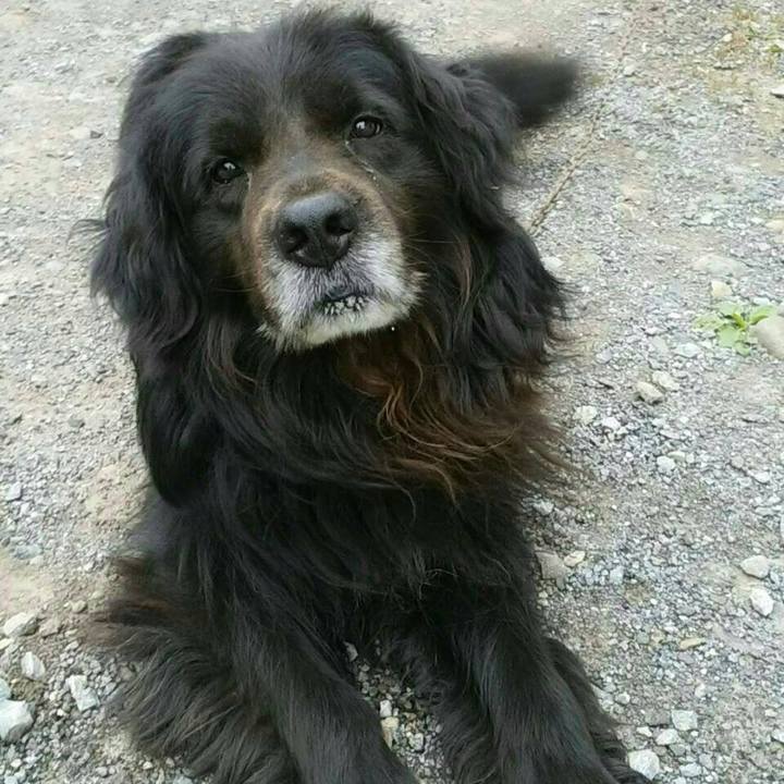 0c1013e8 2185 48bf 911d 77d00389abe5