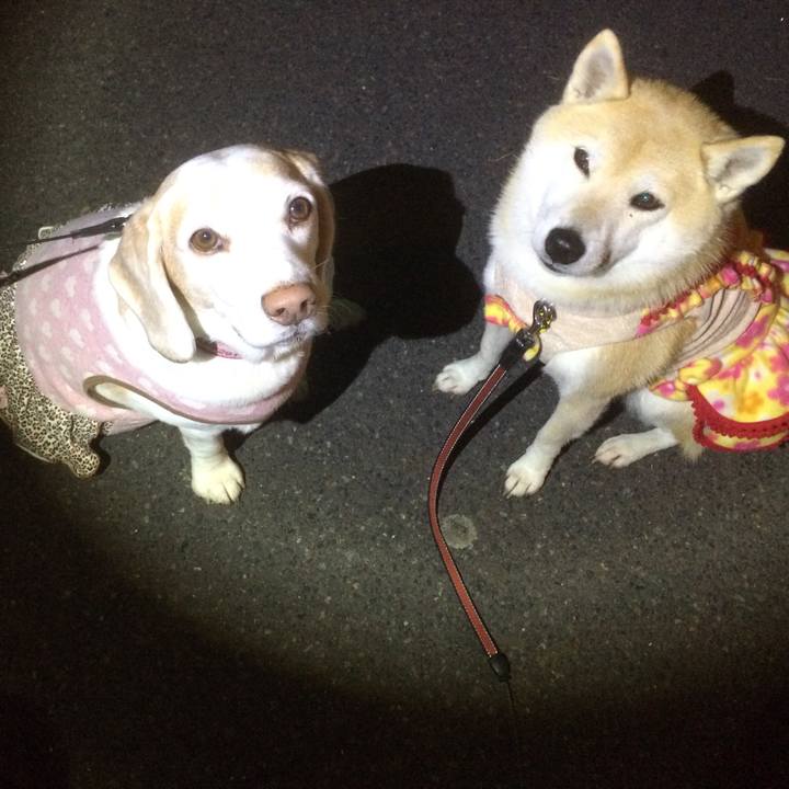 0c106e7e b544 4b7a 965e 72354bad32ef