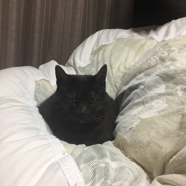 0c1086d3 d684 4d7d 8a8d 44179c3b5102