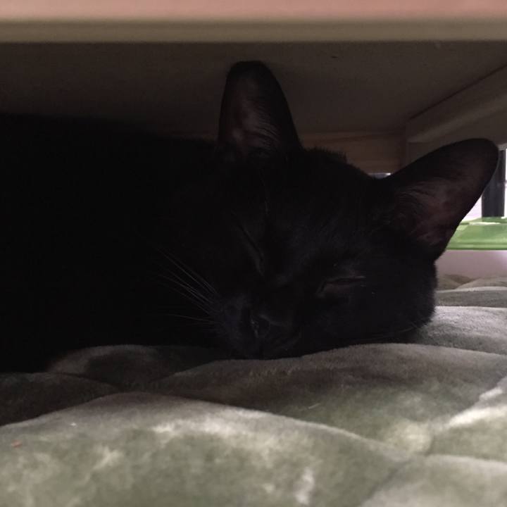 0c10b91e 6230 489a 9d73 a0ab51879106