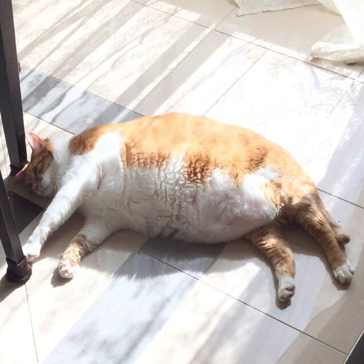 0c112135 ebc3 46e2 a868 22f8d7e97f11