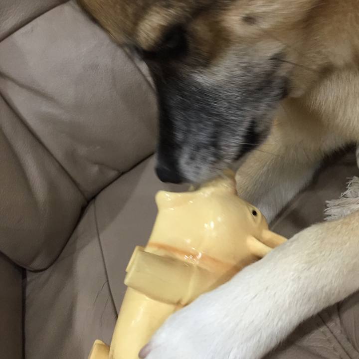 0c11865b 9a51 40da a8ba 00587c65fc4a