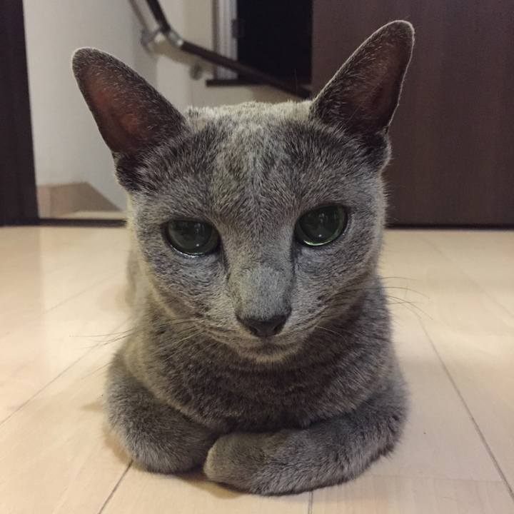 0c11ebfd ef42 427a 820a e4bfa83ef3d1