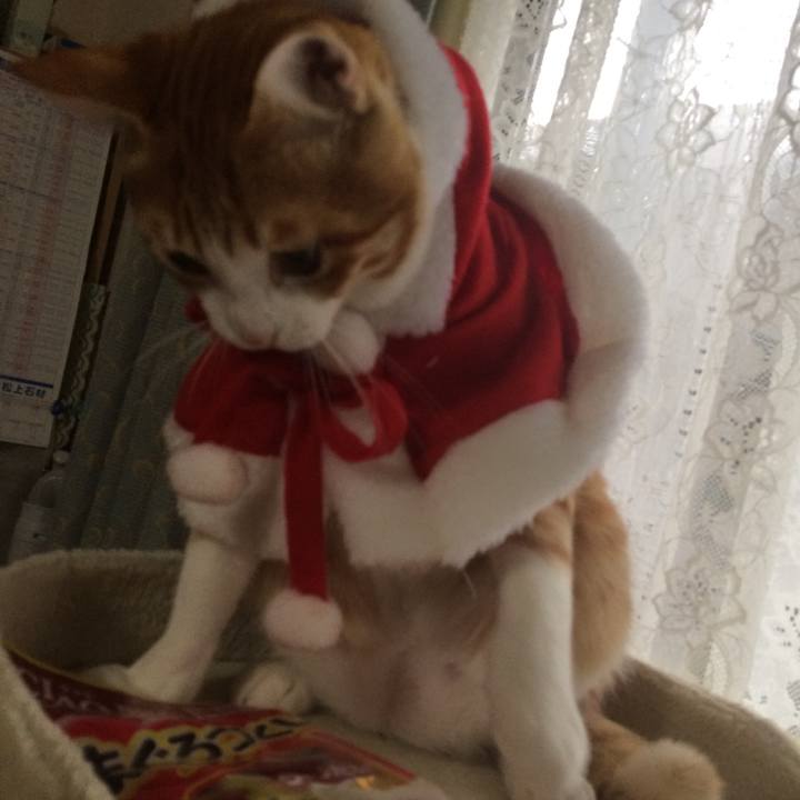 0c11ff26 fd88 40c9 a308 5167175ad48d