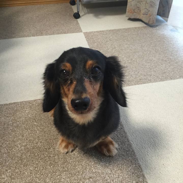 0c1214b3 12d8 4247 ae4b b7a20f6f297b