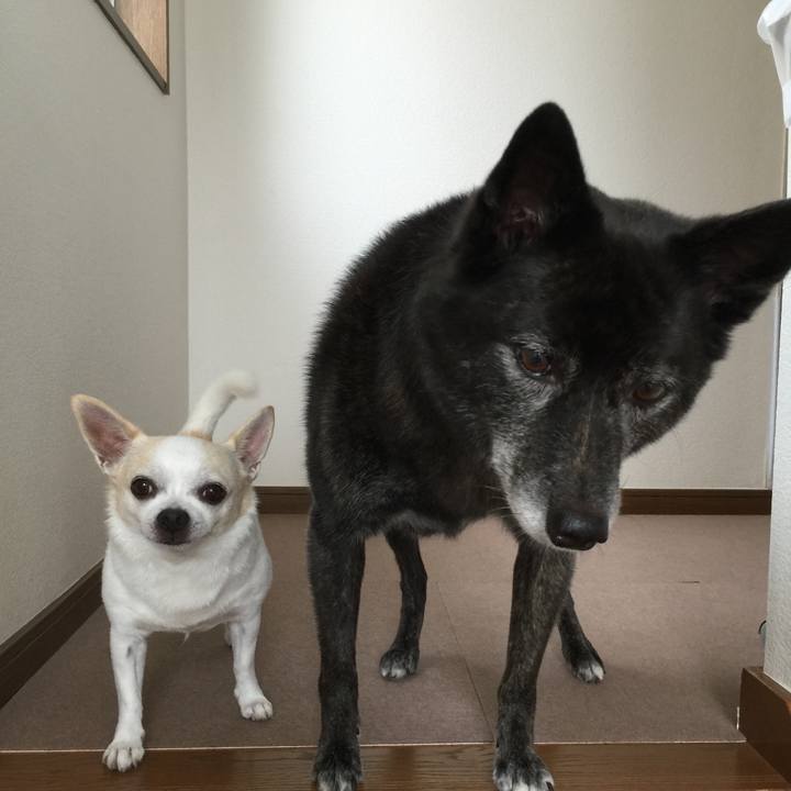 0c1225fc 5122 4b85 bce6 d1a1cae42521