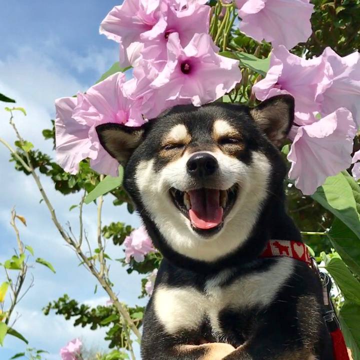 0c124e58 fdc2 492a be79 5eb063715fda