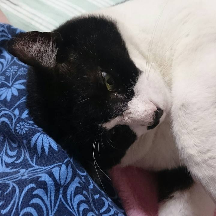 0c1254cd bc89 42a4 91e1 346ca59ea50a