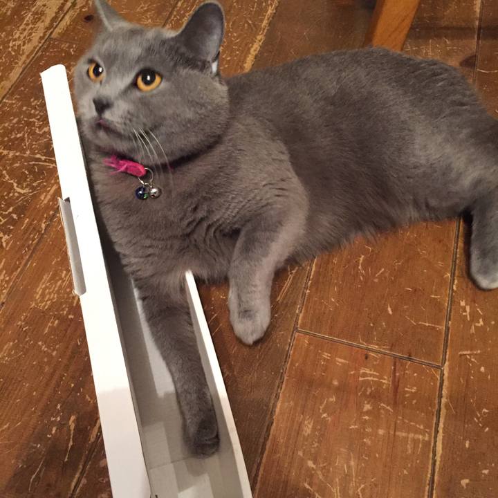 0c128ee4 f509 4a76 8ecf 599750a41bad