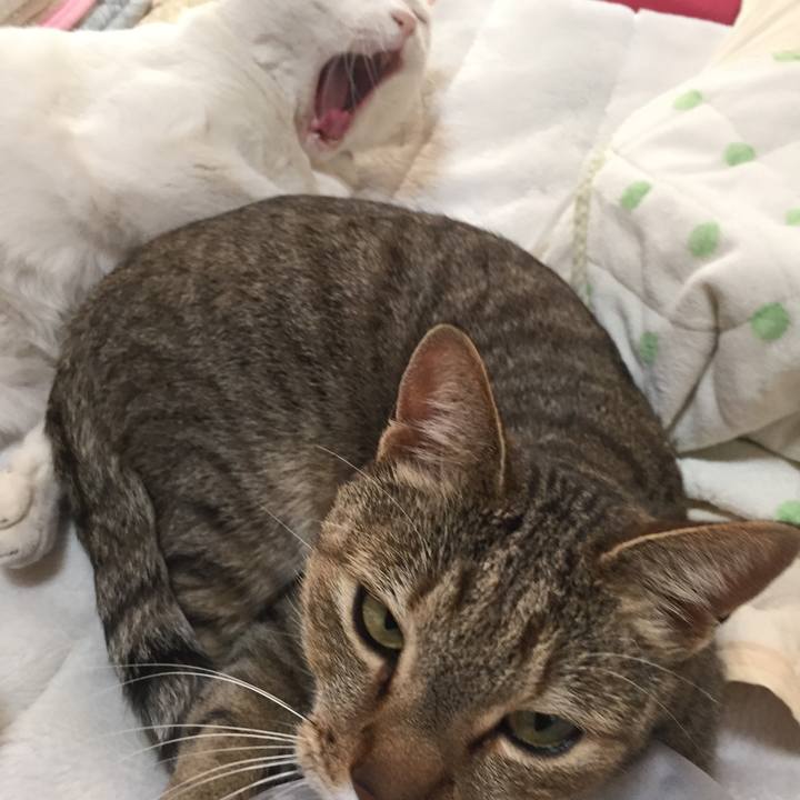 0c1309d4 c9c3 4d57 8508 9ae1ccb7ad9a