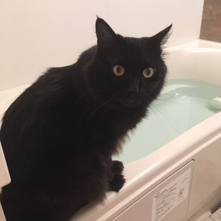 0c13d7c6 aff4 42d7 903e 2eb32a29ac4b