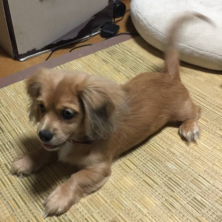 0c1413d6 cbc5 4c9f 9b7c 9be7ee67d8ce