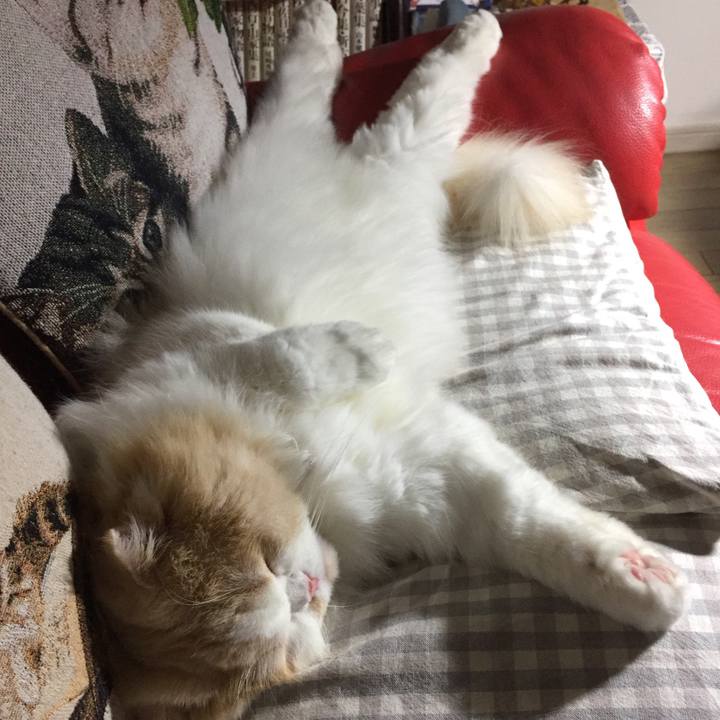 0c143df2 9f72 4b92 89f4 5169f12f0620