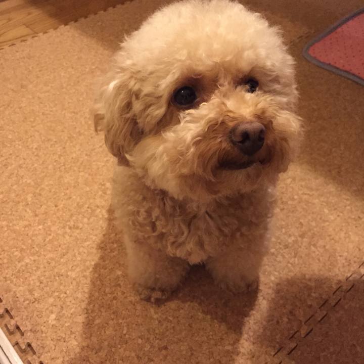 0c145b66 be19 4926 9885 42970d037cbc