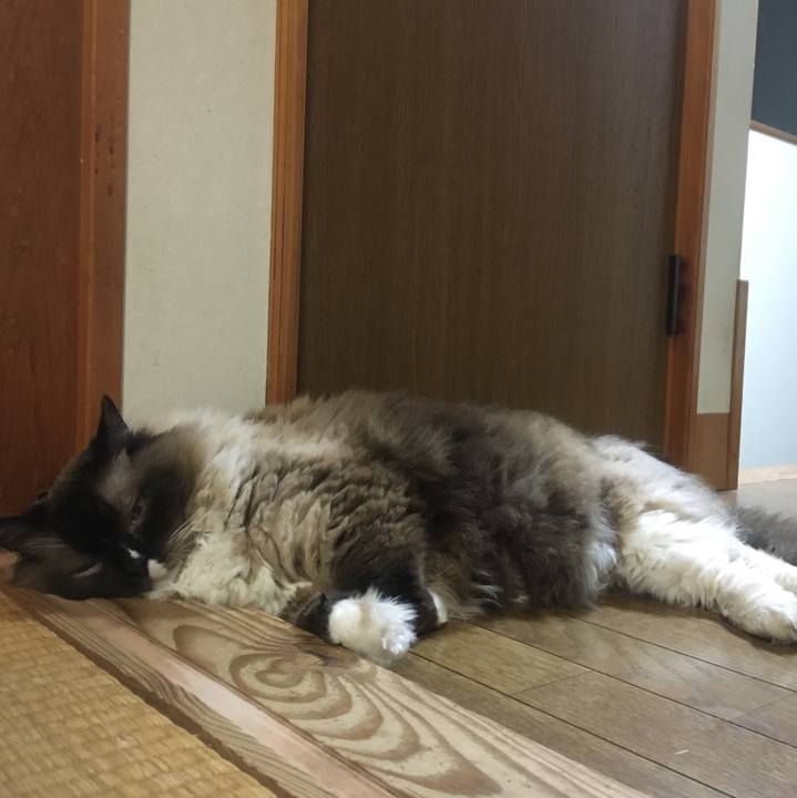 0c14737c 297c 492d ba0f 0720500cb1e8