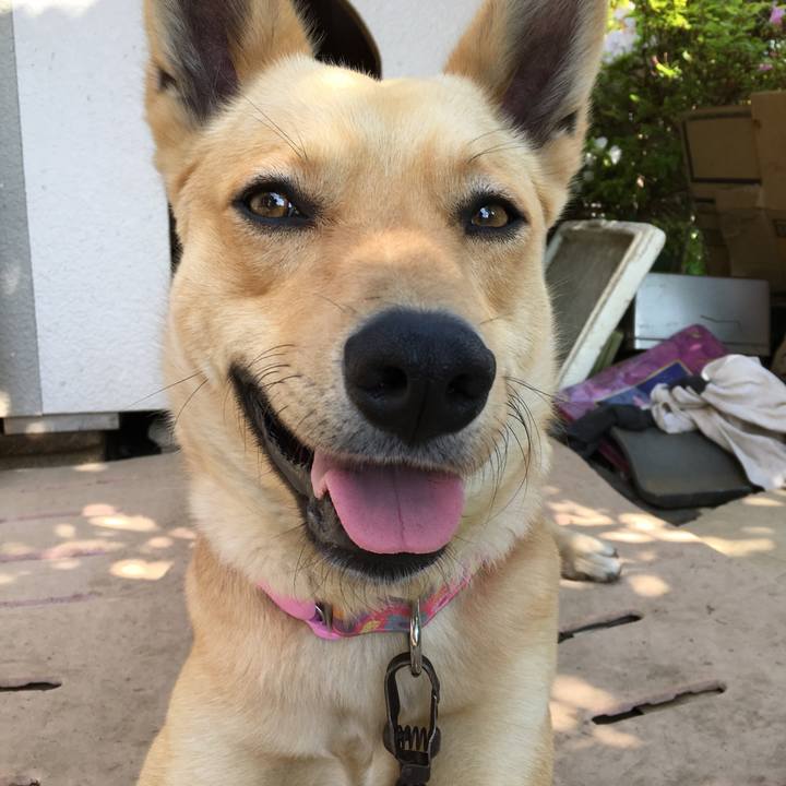 0c14780f a237 483a b00a 4b4036ba3ab1